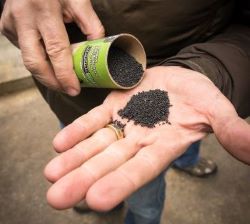Biochar held in an open hand.  Image source:  Wikimedia Commons